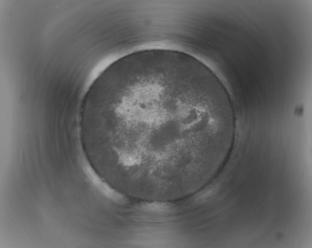 X0000110940998200907022129