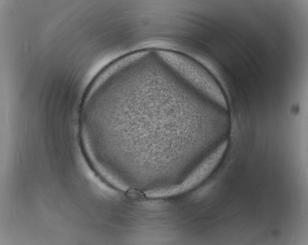 X0000110940999200907022129