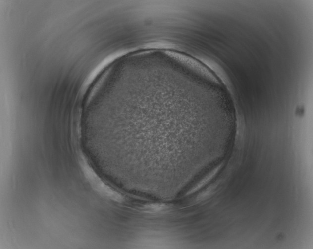 X0000110941000200907022129