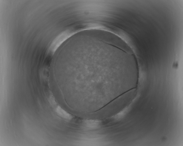 X0000110941001200907022129