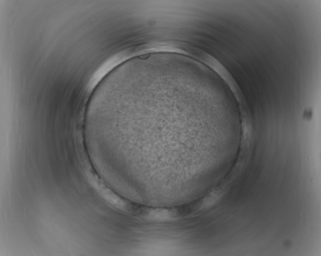 X0000110941002200907022129