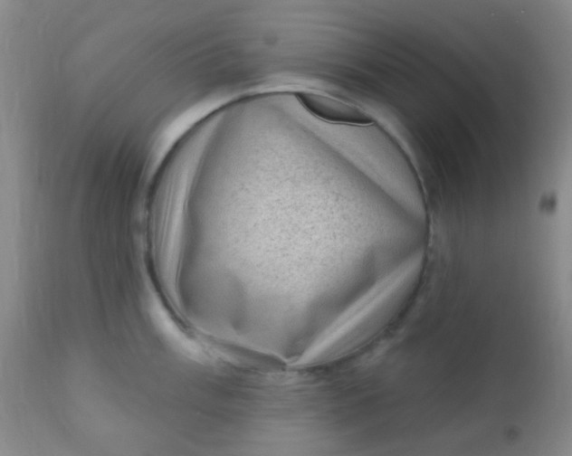 X0000110941003200907022129