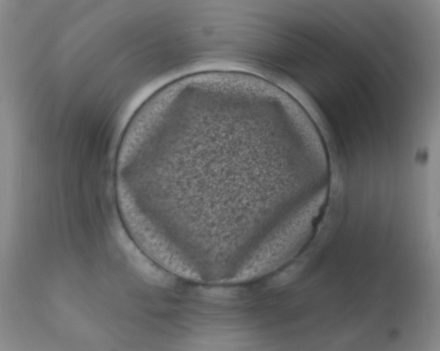 X0000110941004200907022129