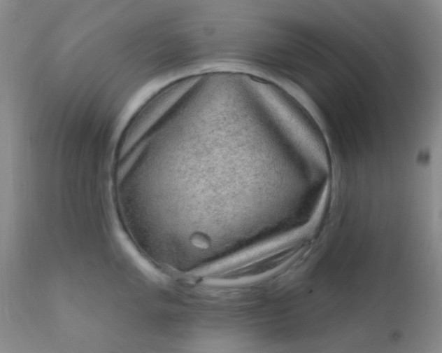 X0000110941005200907022129