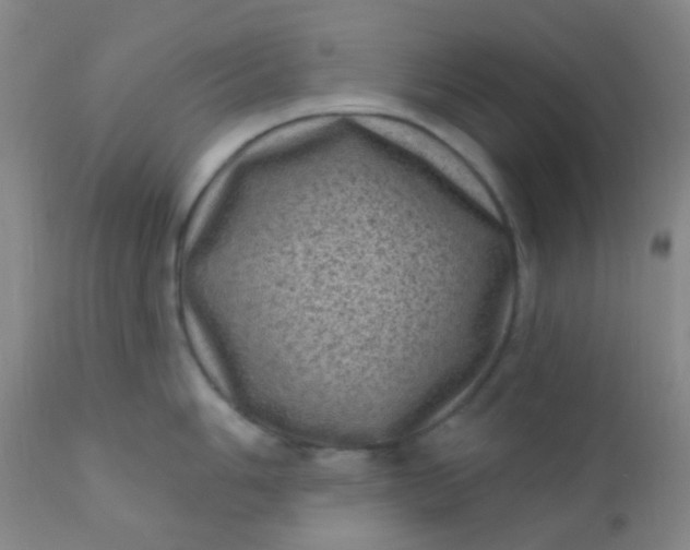 X0000110941006200907022129