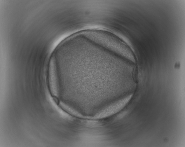 X0000110941007200907022129