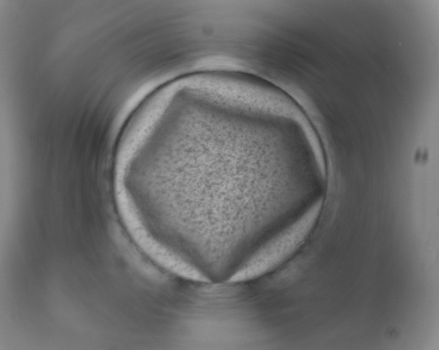 X0000110941008200907022129