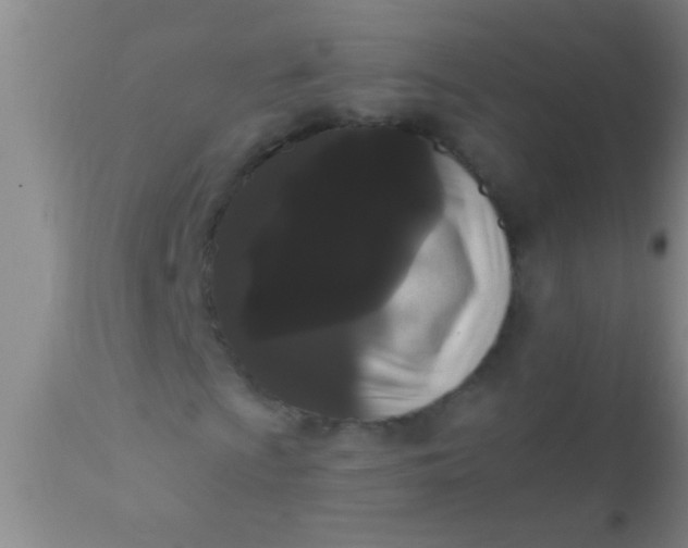 X0000110941009200907022128