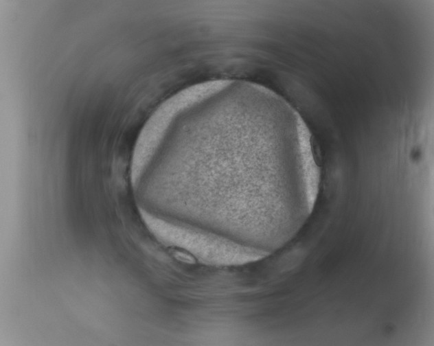 X0000110941010200907022128