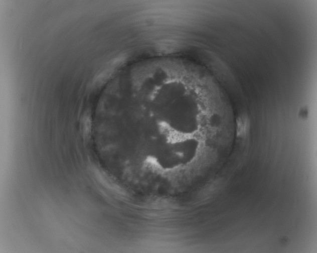 X0000110941011200907022128