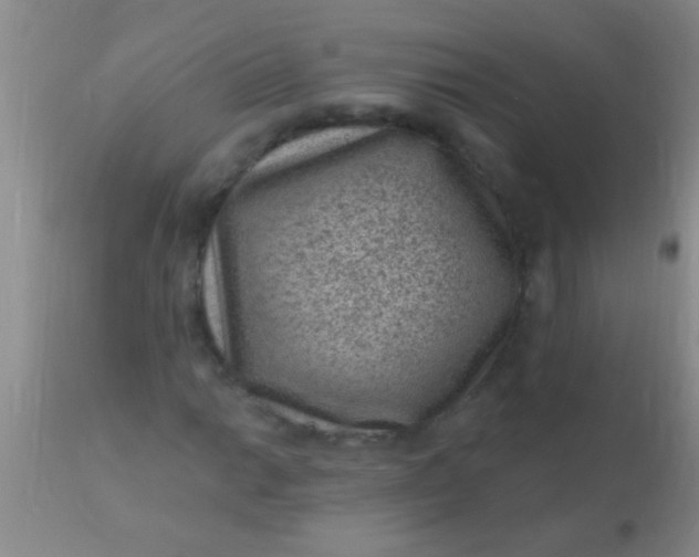 X0000110941014200907022128