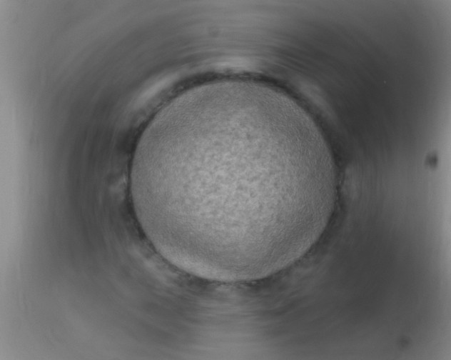 X0000110941015200907022128