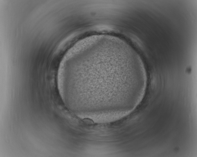 X0000110941016200907022128