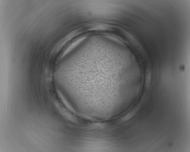 X0000110941017200907022128