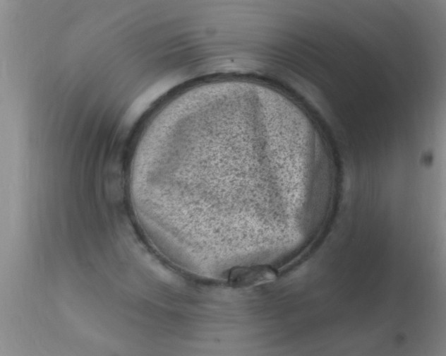 X0000110941018200907022128