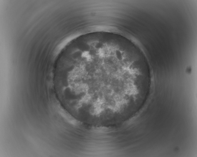 X0000110941019200907022128