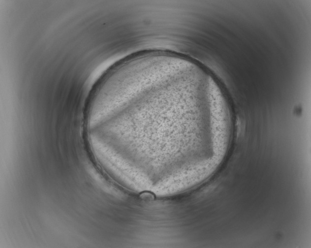 X0000110941020200907022128