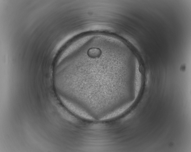 X0000110941021200907022128