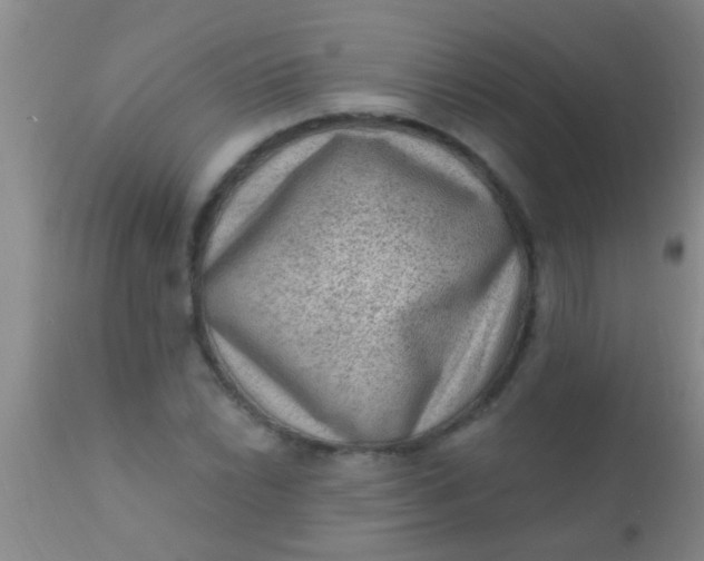 X0000110941022200907022128