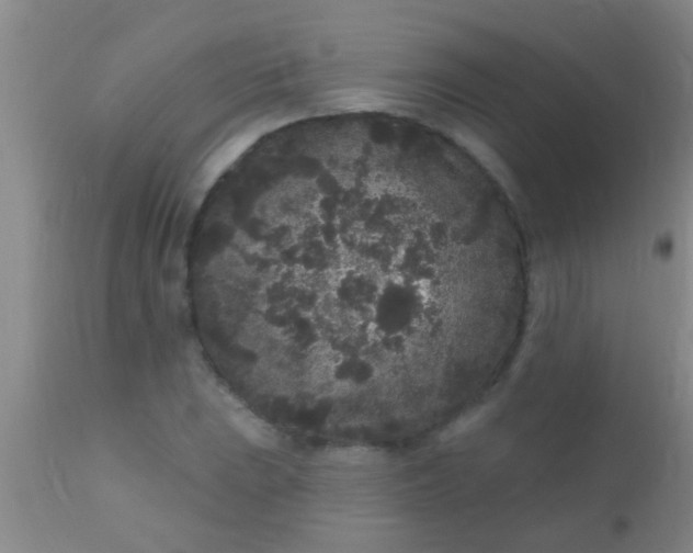 X0000110941023200907022128