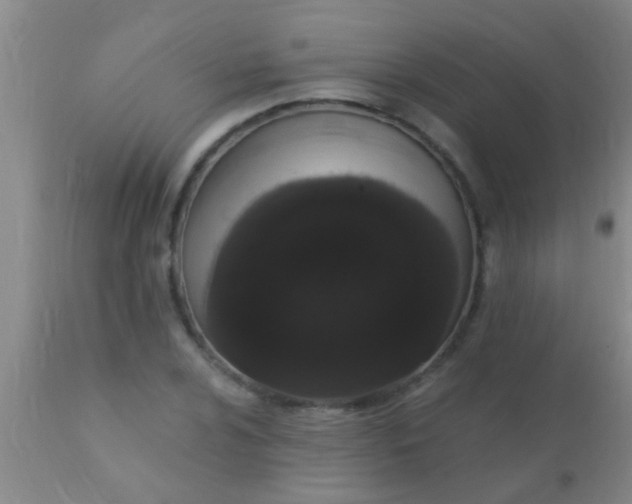 X0000110941024200907022128