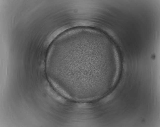 X0000110941025200907022128