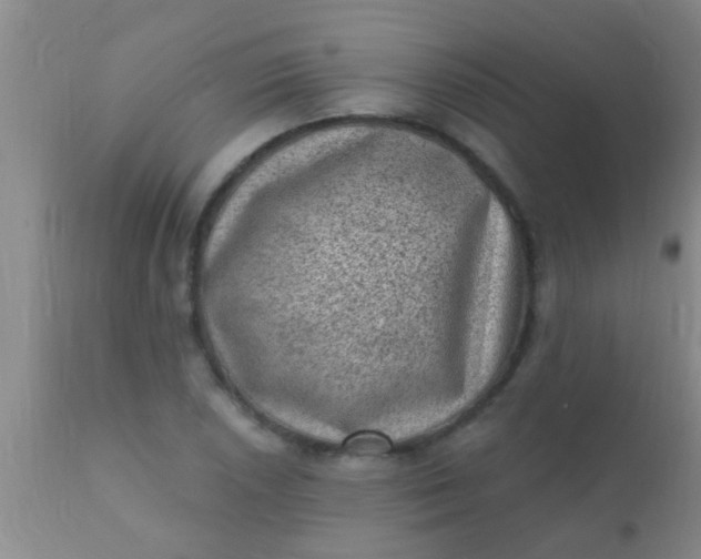 X0000110941026200907022128