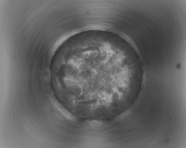 X0000110941027200907022128