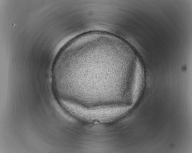 X0000110941028200907022128