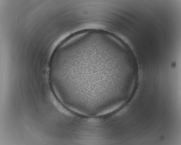 X0000110941029200907022128