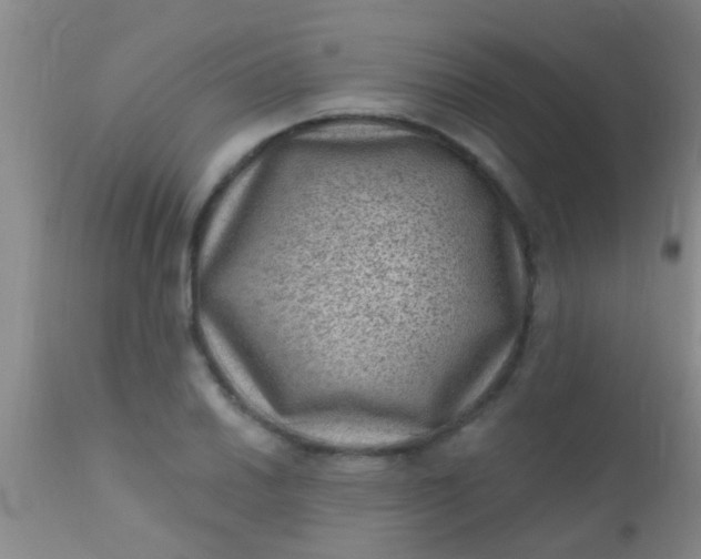 X0000110941030200907022128