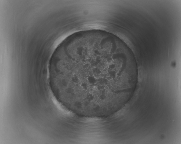 X0000110941031200907022128