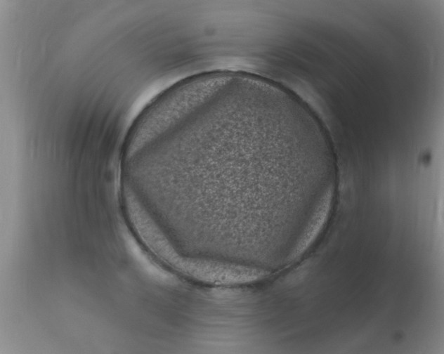 X0000110941032200907022128