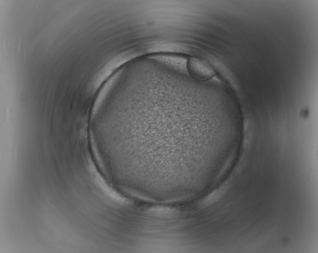 X0000110941033200907022128