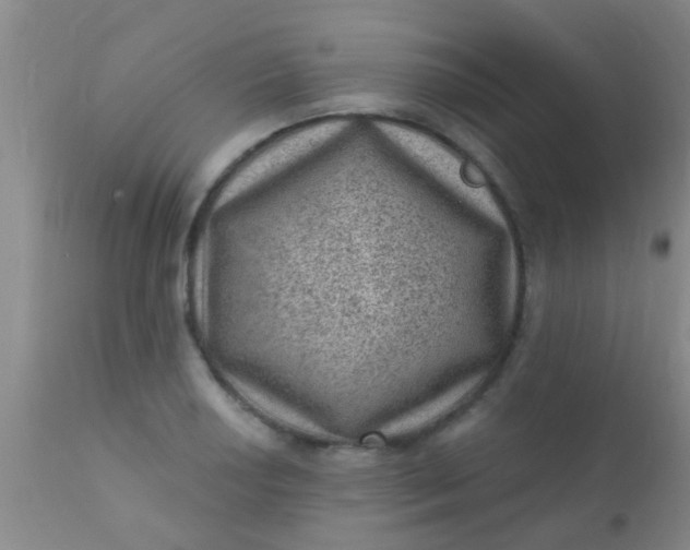 X0000110941034200907022128