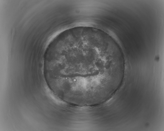 X0000110941035200907022128