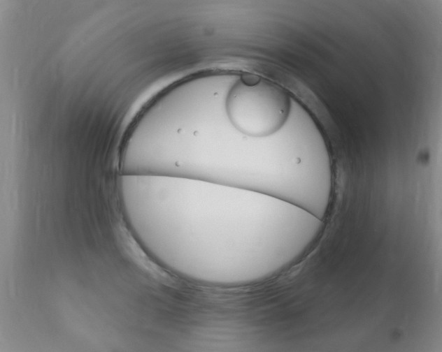 X0000110941036200907022129