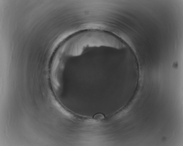 X0000110941037200907022129