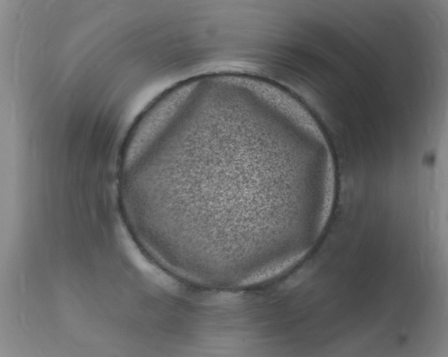 X0000110941038200907022129