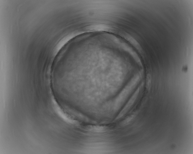 X0000110941039200907022129