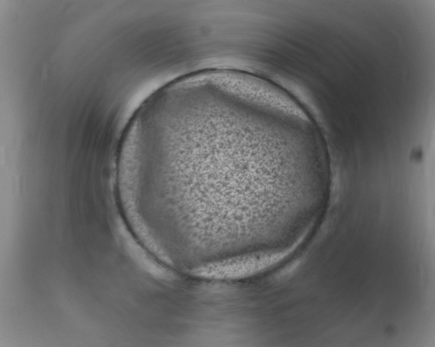 X0000110941040200907022129