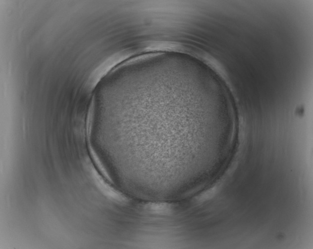 X0000110941041200907022129