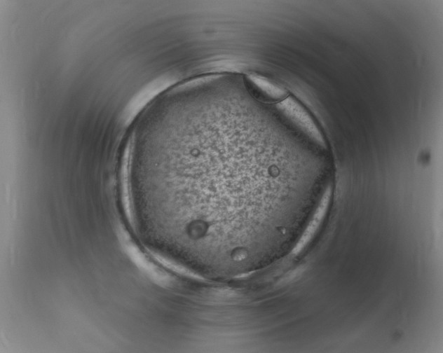 X0000110941042200907022129