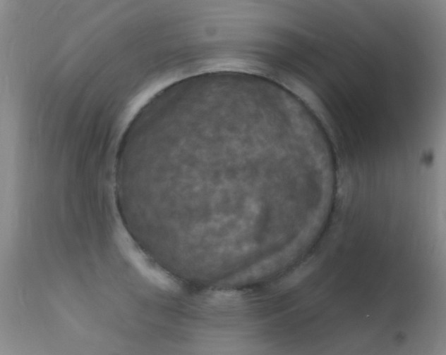 X0000110941043200907022129