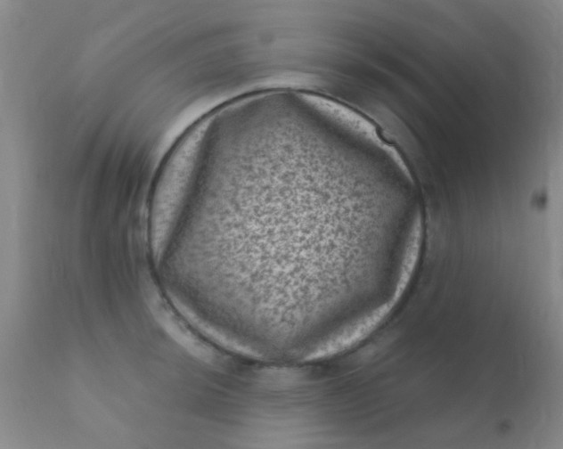 X0000110941044200907022129