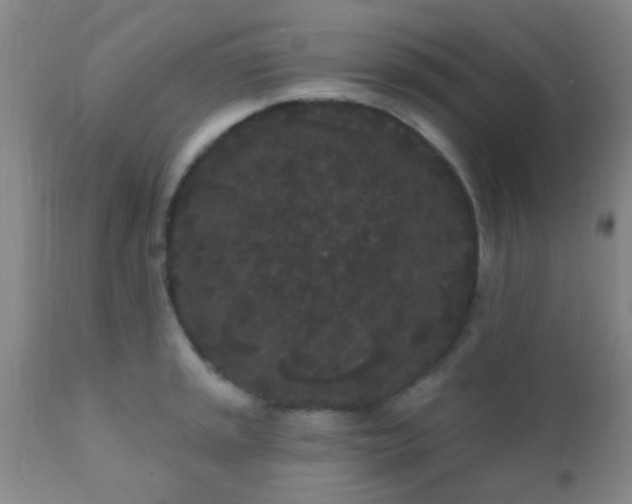 X0000110941045200907022129