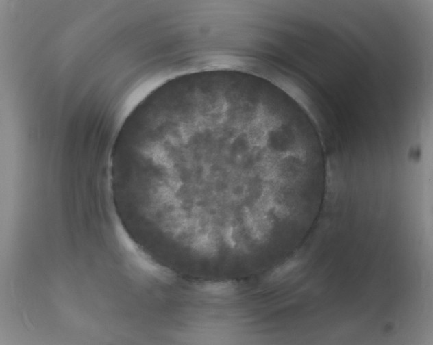 X0000110941047200907022129