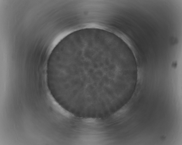 X0000110941048200907022129