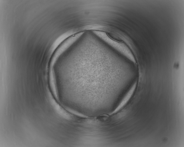 X0000110941050200907022129