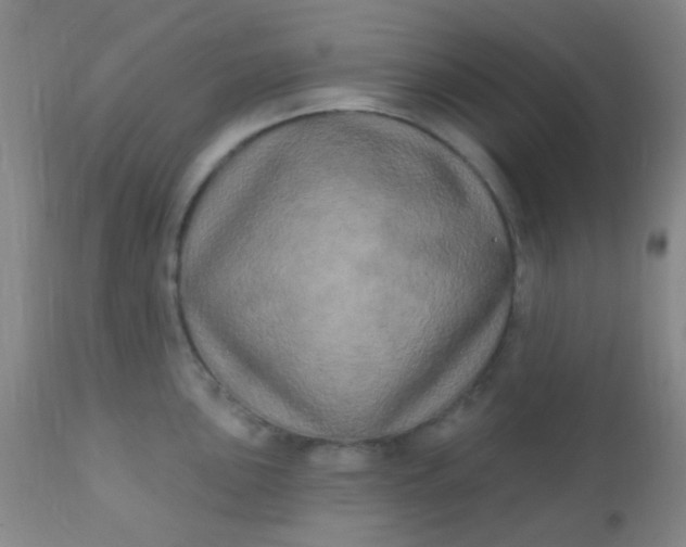 X0000110941051200907022129